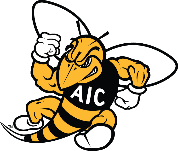 AIC Yellow Jackets 2009-Pres Secondary Logo iron on transfers for clothing